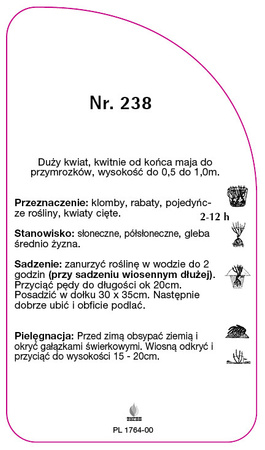 Róza wielkokwiatowa Nr. 238
