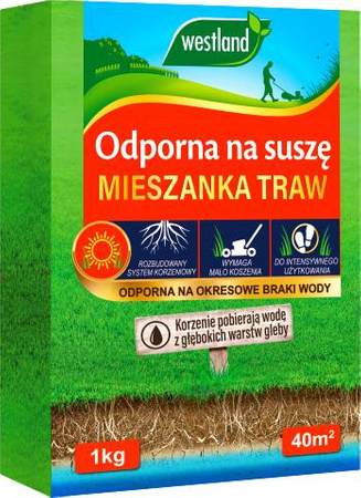 Trawa odporna na suszę 1kg Westland