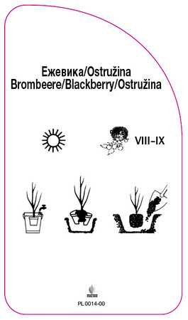 Ostružina bez trnů