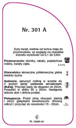 Obal růže č. 301 A