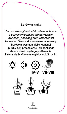 Vaccinium corymbosum "Goldtraube