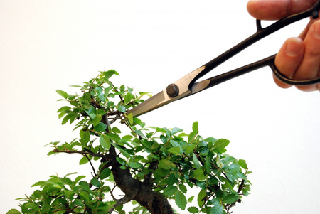 Nożyczki Bonsai 206 OKATSUNE