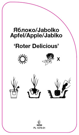 Jablon 'Roter Delicious'