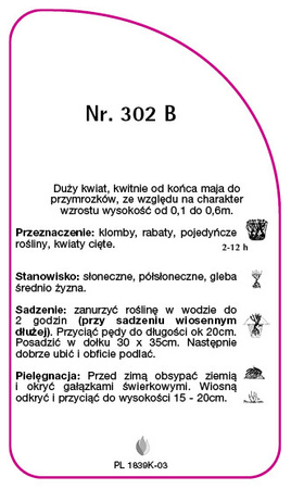 Róza okrywowa Nr. 302 B