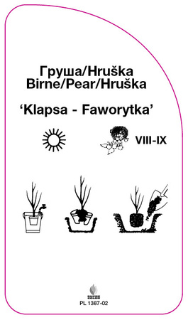 Hrušeň 'Clapper-Favourite'