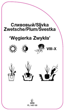 Śliwa 'Węgierka Zwykła'