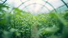 Rolă de film horticol UV4 6X33