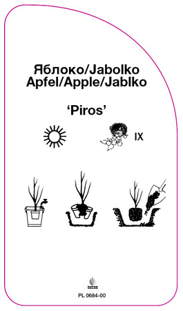 Jabłoń 'Piros'