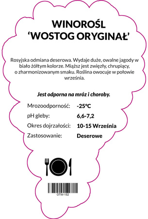 Winorośl Wostorg Oryginał