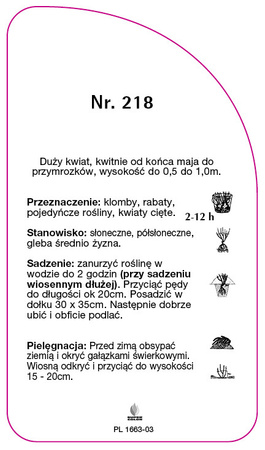 Róza wielkokwiatowa 'Pink Peace' Nr. 218