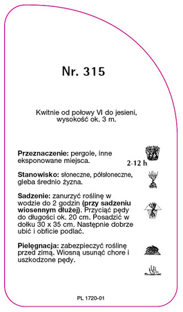 Pnoucí růže č. 315