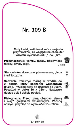 Róza okrywowa Nr. 309 B