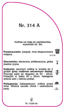 Urcarea trandafirului Nr. 314 A