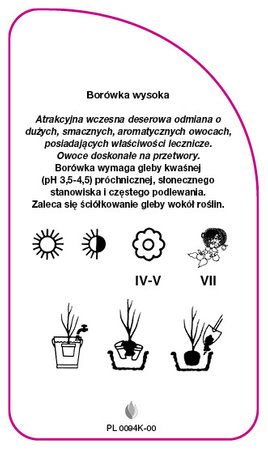 Vaccinium corymbosum 'Grover'