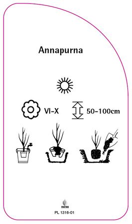 Annapurna