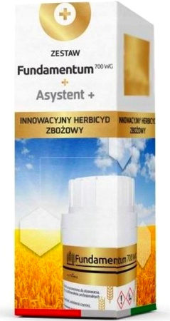 Fundamentum 700 WG 30g + Asystent 100ml Innvigo