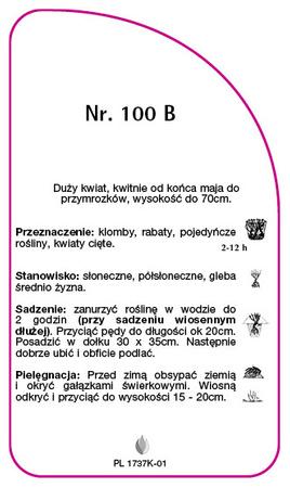 Urcarea trandafirului Nr. 100 B