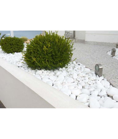 EXTRA WHITE THASSOS 60-100mm 20kg Pietricele Biovita