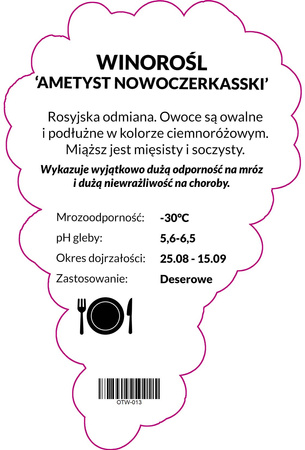 Winorośl Ametyst Nowoczerkasski