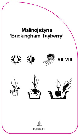 Malinojezyna 'Buckingham Tayberry'