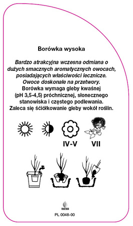 Vaccinium corymbosum 'Spartan'