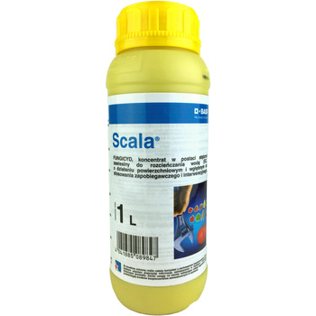 Scala 1L Basf