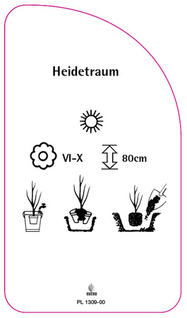 Heidetraum