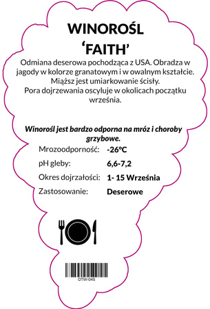 Winorośl Faith