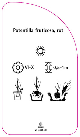 Potentilla fruticosa, rot
