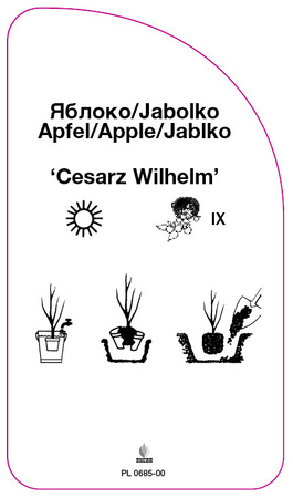 Jabłoń 'Cesarz Wilhelm'