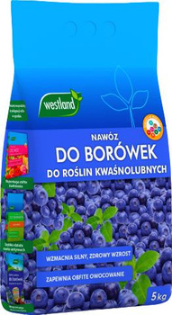 Nawóz do borówek 5kg Westland