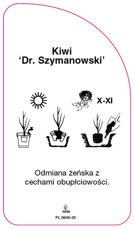 Kiwi 'Dr. Szymanowski'