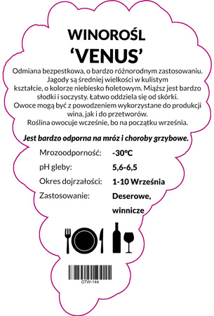 Winorośl Venus