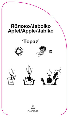 Jabłoń 'Topaz'