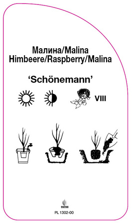 Malina 'Schönemann'