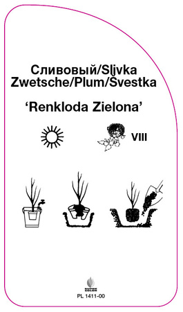 Švestka 'Renkloda Green'