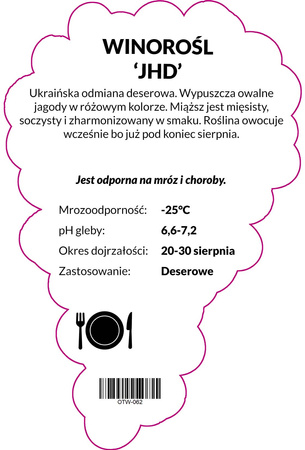 Winorośl JHD