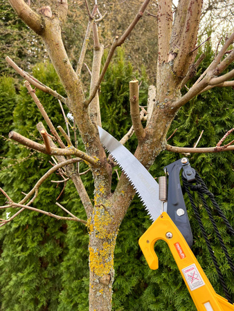 Sekator i piła ogrodnicza ZV375 MAMUTH