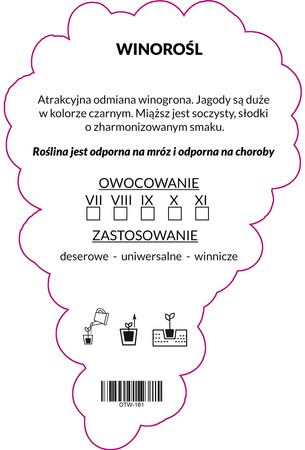 Winorośl Czarna blank