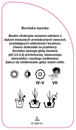 Vaccinium corymbosum 'Earlyblue'