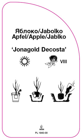 Jablon 'Jonagold Decosta'