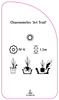 Chaenomeles 'Jet Trail'