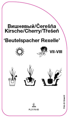 Wisnia 'Beutelspacher Rexelle'