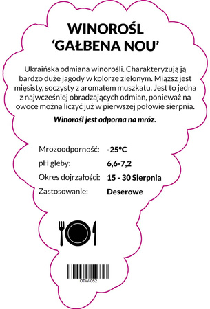 Galbiena Nou vinná réva