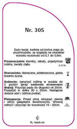 Róza okrywowa Nr. 305