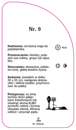 Roza pienna Nr. 9