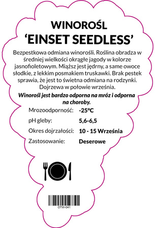 Winorośl Einset Seedless