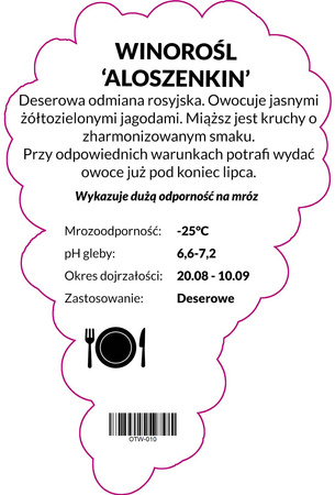 Viță de vie Alladin