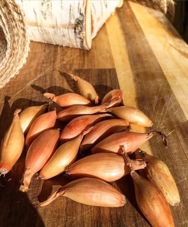 Supă de ceapă - COMPLET 250G