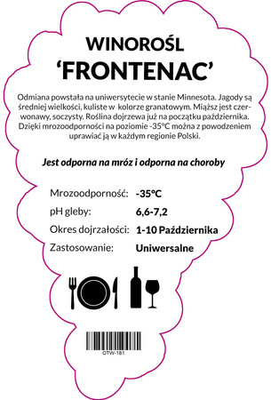 Vinná réva Frontenac